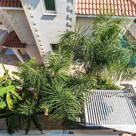 Timotheos * Protaras