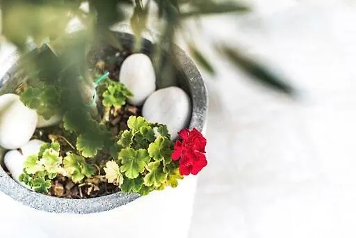 Villa Timotheos Protaras