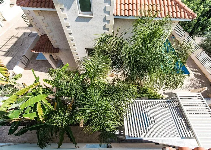 Timotheos * 프로타라스